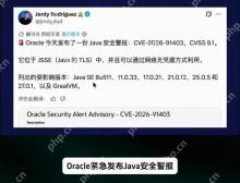 Java CVE-2026-91403修复：JSSE证书风险与JDK更新方法