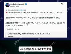 Java CVE-2026-91403 与 CVSS 9.1 安全警报画面