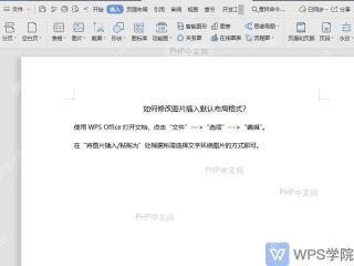 WPS 文字中打开文件菜单准备进入选项
