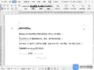 Word如何新增文档标题样式？ 准备标题文字