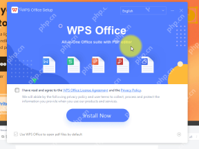 Windows 上 WPS Office Setup 安装向导和 Install Now 按钮