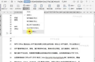 WPS如何设置调整文档行编号选项?中间操作