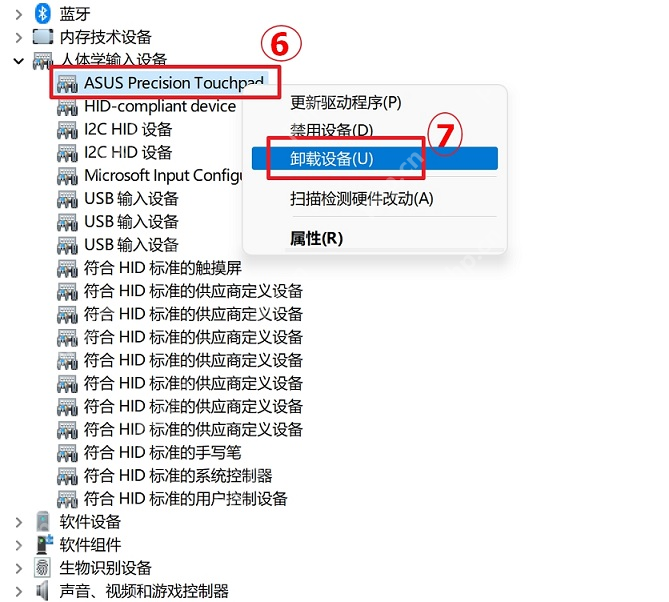 win11升级24H2后触摸板失灵怎么办_win11系统升级后触摸板检查指南 - php中文网