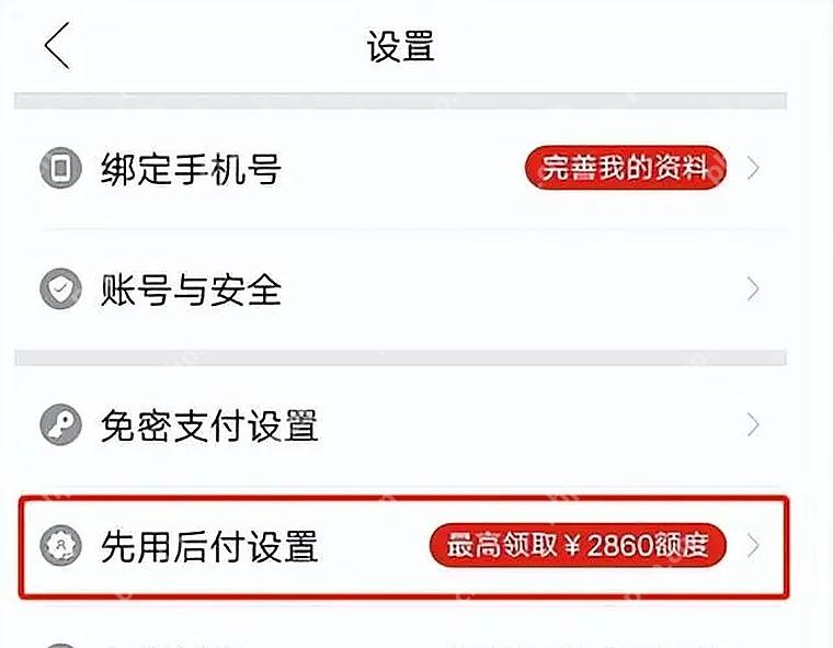 拼多多设置页面,红框标出先用后付设置入口