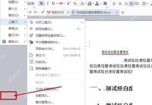 WPS 文件菜单中的选项入口,服务于进入选项窗口步骤