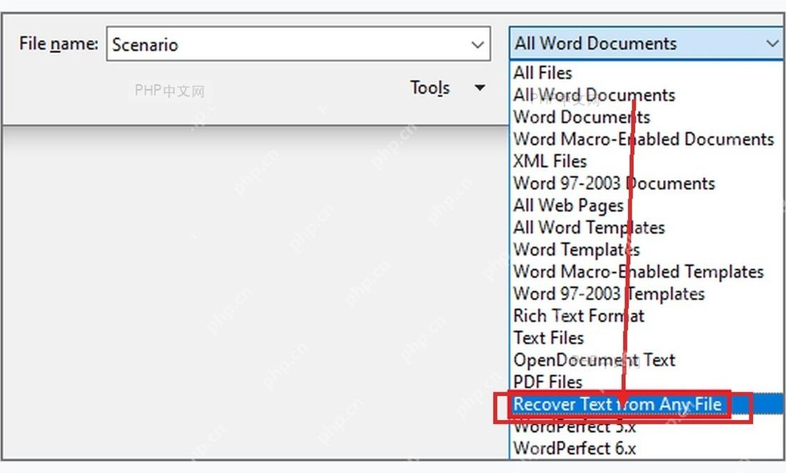 Word 打开窗口的文件类型下拉菜单,用于选择从任意文件恢复文字内容