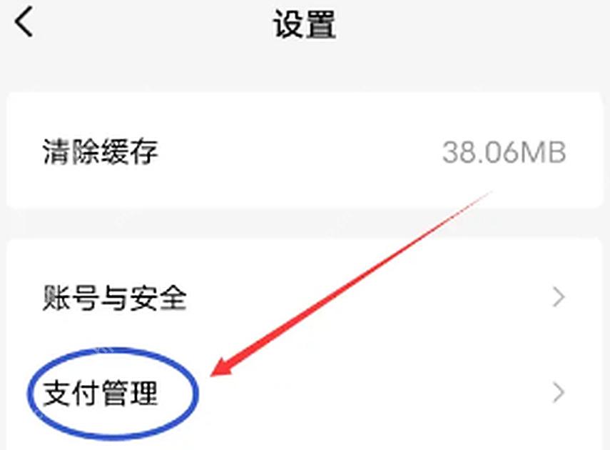 红果短剧设置页面的支付管理入口