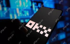 十大数字货币交易所app 国内正规的数字货币平台app - php中文网