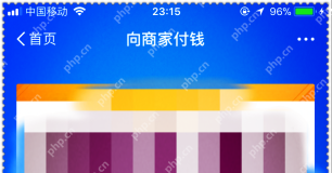 支付宝向商家付钱页顶部和付款码区域上沿,确认已经停在付款码页面