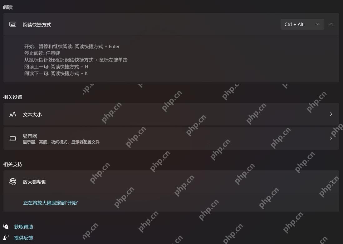 Win11 放大镜页面中调整视图和相关设置