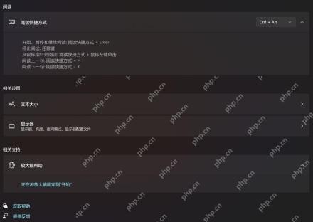Win11 放大镜页面中调整视图和相关设置