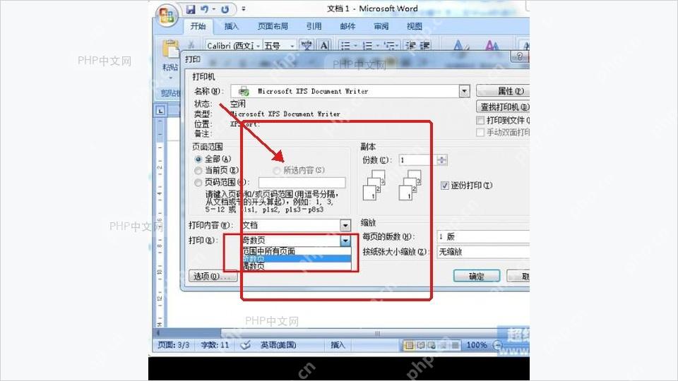 Word 选择奇数页打印
