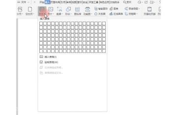 WPS文字插入表格作为图文混排辅助框架