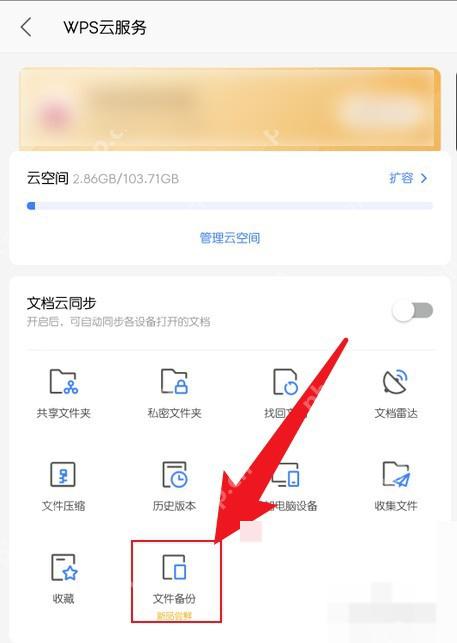 WPS云服务关闭文档云同步开关