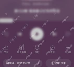 番茄免费小说听书播放器语速设置入口