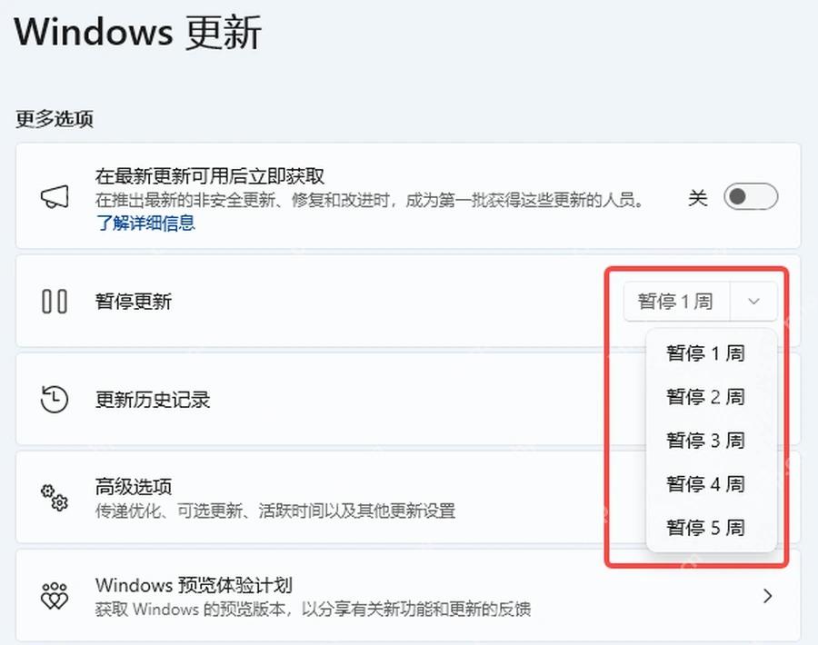Win11 Windows 更新页面中进入高级选项