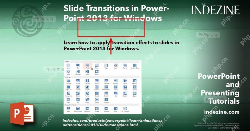 PowerPoint 切换效果库区域被红框标出,用于选择幻灯片切换效果