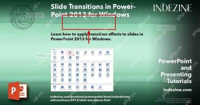 PowerPoint 切换效果库区域被红框标出,用于选择幻灯片切换效果
