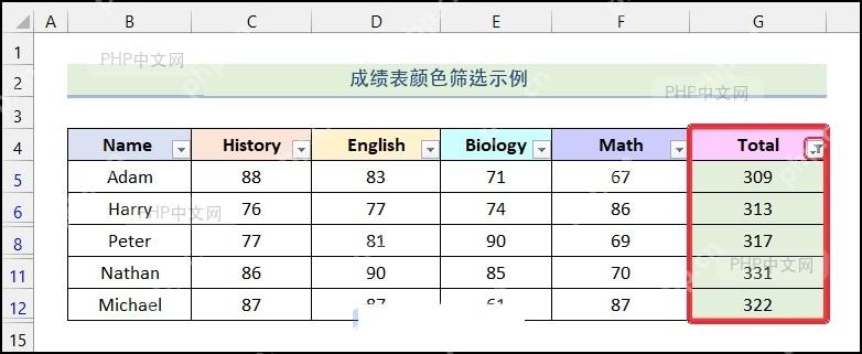 Excel 颜色筛选后只保留绿色总分行并显示筛选标记,服务于检查筛选结果步骤