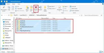 Win10 SoftwareDistribution 文件夹中选中缓存内容并点击 Delete