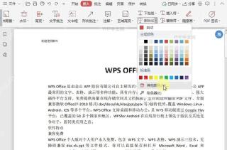 PDF如何自定义PDF文档中删除线的颜色?中间操作