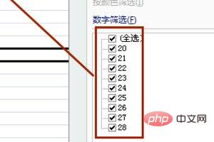 필터링 중에 일부 항목을 필터링할 수 없는 이유는 무엇입니까?