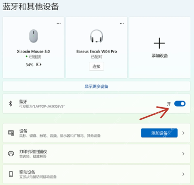 Win11 蓝牙和其他设备页面显示耳机卡片和蓝牙开关