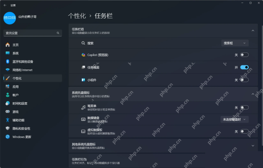 Win11 任务栏设置中的 Copilot 开关