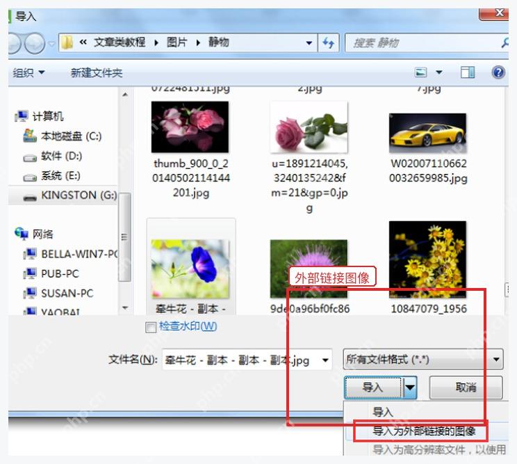 CorelDRAW 导入窗口中从导入按钮下拉选择外部链接图像