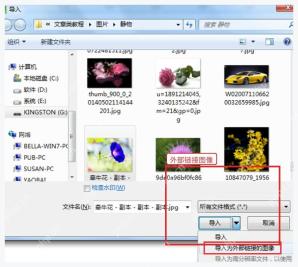 CorelDRAW 导入窗口中从导入按钮下拉选择外部链接图像