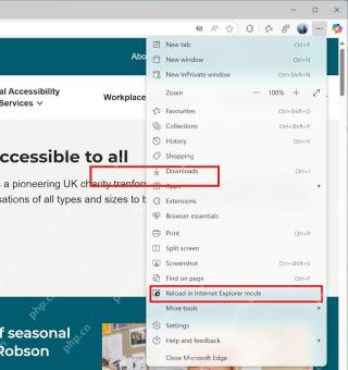 Edge 菜单中点击 Reload in Internet Explorer mode 重新加载网页