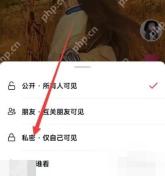 抖音作品权限设置面板,选择私密仅自己可见
