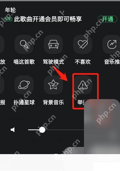 QQ音乐怎么举报侵权音乐内容步骤2操作截图