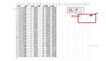 Excel 表格右侧设置高级筛选条件区域，字段名和条件值被标出