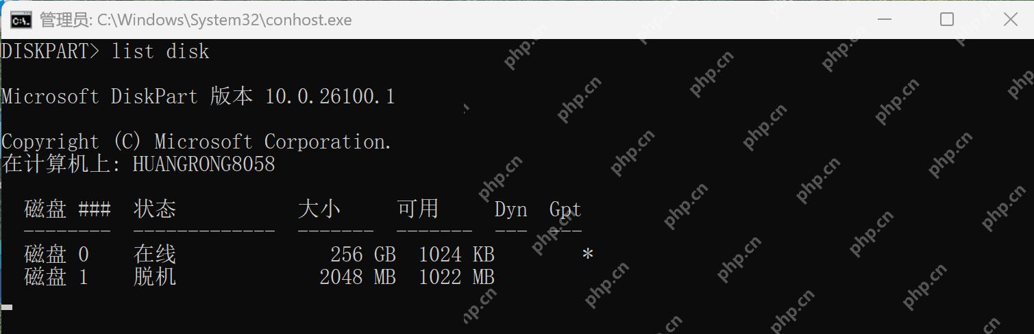 DiskPart 列表中演示磁盘 1 的状态已变成脱机