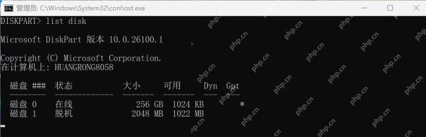 DiskPart 列表中演示磁盘 1 的状态已变成脱机