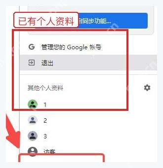 Chrome 其他个人资料区域中的已有配置文件