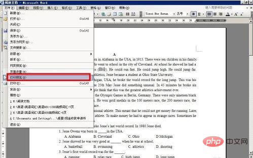 What is the shortcut key for word print preview?