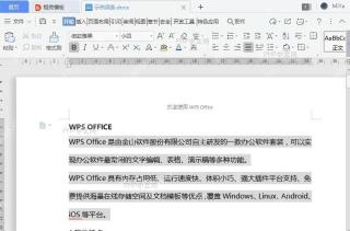 WPS如何设置WPS皮肤？详细方法