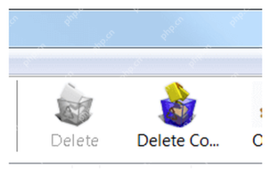 IDM 主窗口 Delete Completed 按钮，对应清除已完成下载记录。