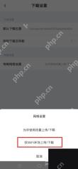 百度网盘 App 传输网络设置中的仅 Wi-Fi 上传下载选项