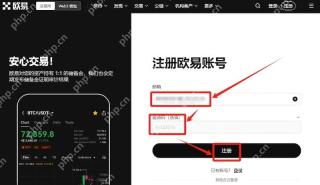 欧易OKX交易所账户访问入口_OKX交易所官网首页 - php中文网