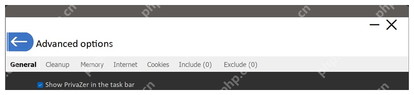 PrivaZer Advanced options 顶部标签栏。