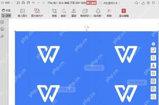 如何替换插入PDF文件中的图片?结果检查
