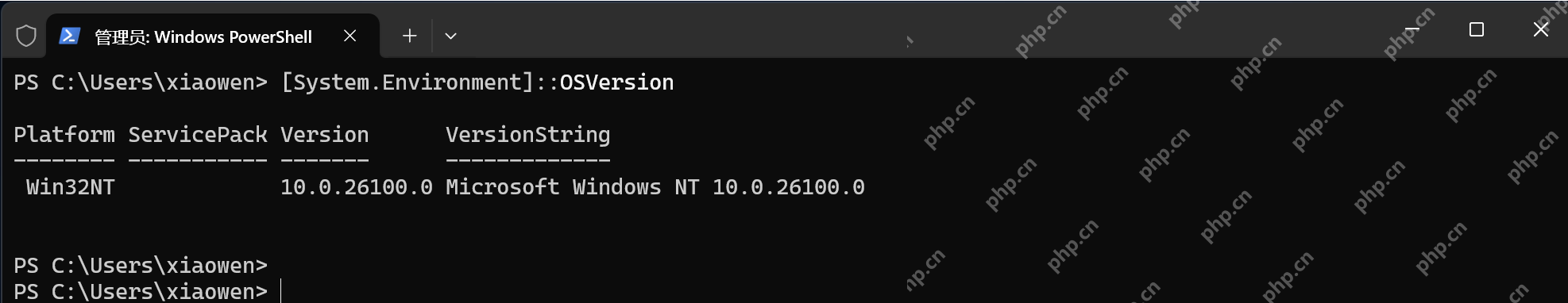 Windows 11 设置中检查网络和 Internet 连接状态