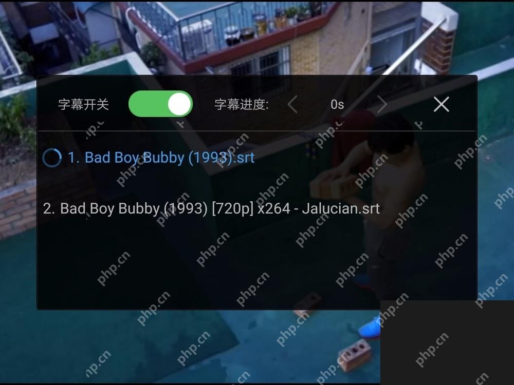 百度网盘视频播放器中的字幕选择列表