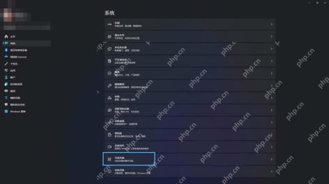 Win11 设置系统页面进入可选功能
