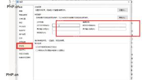 WPS 选项窗口中的安全性页面和密码输入区域