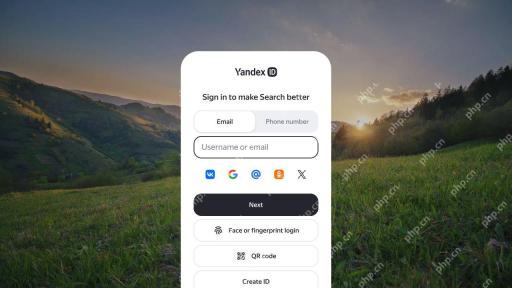 Yandex ID空用户名或邮箱登录表单与Next入口