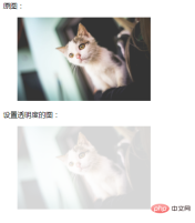 1613966595123989.png HTML img 이미지의 투명도를 설정하는 방법